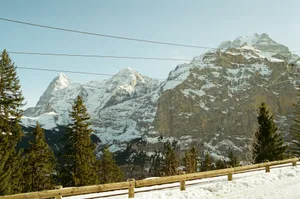 Snow-capped mountains with evergreen trees and a wooden fence. jigsaw puzzle