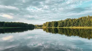 green trees beside river under cloudy sky during daytime jigsaw puzzle