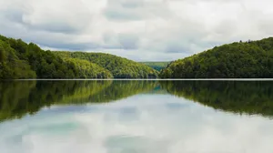 body of water surrounded with trees under white skies jigsaw puzzle