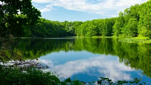 green trees beside lake under blue sky during daytime jigsaw puzzle
