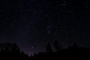 the night sky is filled with stars and trees jigsaw puzzle