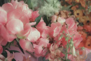 a bunch of pink flowers sitting next to each other jigsaw puzzle
