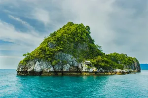 green trees on cliff jigsaw puzzle
