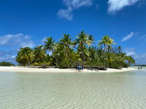 people on beach during daytime jigsaw puzzle