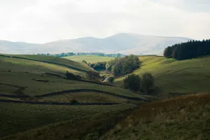 A view of a grassy field with mountains in the background jigsaw puzzle