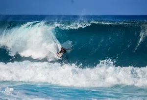 person surfing on wave jigsaw puzzle
