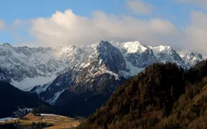 Breathtaking snow-capped mountain range with lush forest in the foreground under a vibrant blue sky. jigsaw puzzle