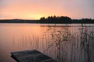 Peaceful sunset view over a lake with a wooden pier and reeds, capturing tranquility and nature's beauty. jigsaw puzzle