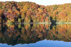 Stunning autumn foliage reflected on the serene waters of Croatia's Plitvice Lakes National Park. jigsaw puzzle