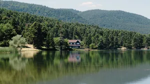 A peaceful house by a lake surrounded by dense green forest under a clear blue sky. jigsaw puzzle