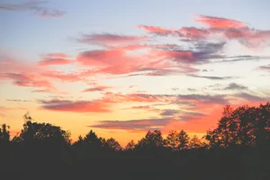 Stunning vibrant sunset with silhouetted trees and colorful clouds. jigsaw puzzle