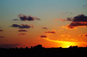 A stunning summer sunset with vibrant clouds and silhouetted trees creates a picturesque landscape. jigsaw puzzle