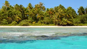 Explore the pristine tropical beach in French Polynesia with turquoise waters and coconut palms. jigsaw puzzle