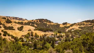 Beautiful rural landscape featuring golden hills and lush greenery under a clear sky. jigsaw puzzle
