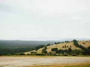 Expansive view of rolling hills and trees under a clear sky, ideal for nature stock photos. jigsaw puzzle