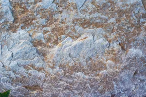 High-resolution image of a natural stone surface showcasing intricate texture and earthy tones. jigsaw puzzle