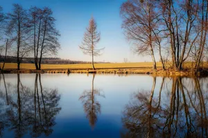 lake jigsaw puzzle
