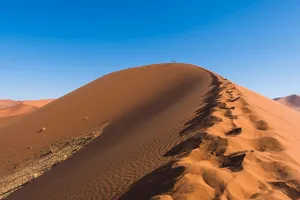 desert jigsaw puzzle