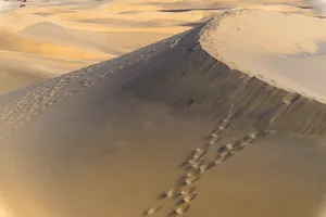 dune jigsaw puzzle