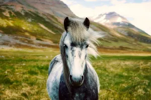 iceland jigsaw puzzle