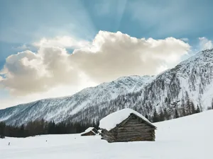 winter jigsaw puzzle