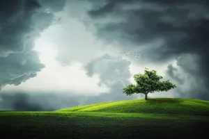 tree jigsaw puzzle