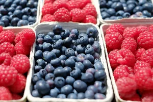 berries jigsaw puzzle