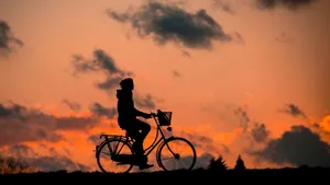 silhouette jigsaw puzzle
