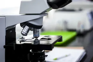 lab jigsaw puzzle
