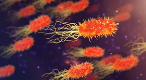 bacteria jigsaw puzzle