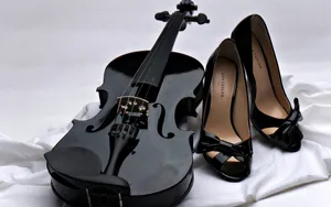 violin jigsaw puzzle