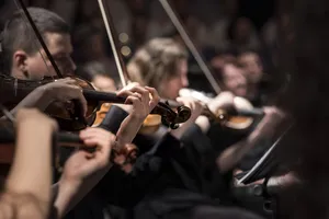 violins jigsaw puzzle