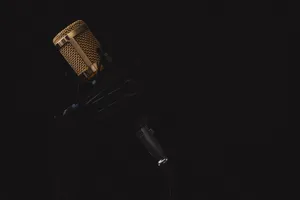 microphone jigsaw puzzle