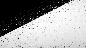 black white jigsaw puzzle