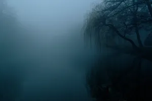 the fog jigsaw puzzle