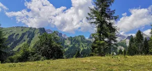 a grassy area with trees and mountains in the background jigsaw puzzle