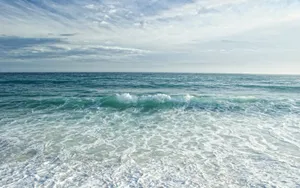 a view of the ocean from the shore jigsaw puzzle