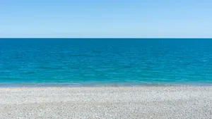 a bench sitting on top of a sandy beach next to the ocean jigsaw puzzle