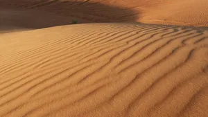 A large sand dune in the middle of a desert jigsaw puzzle