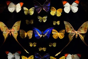 blue and brown butterfly painting jigsaw puzzle