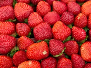 A large group of fresh, ripe red strawberries. jigsaw puzzle