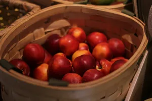 A basket filled with ripe nectarines jigsaw puzzle