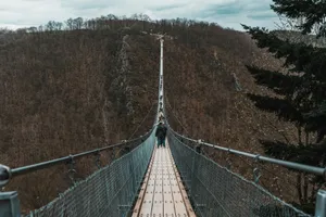 a man walking across a suspension bridge over a forest jigsaw puzzle