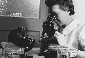 a woman looking through a microscope into jars jigsaw puzzle