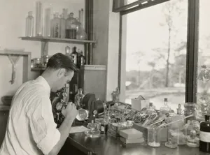 grayscale photography of scientist using microscope in the zoological division jigsaw puzzle