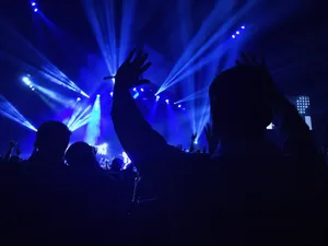 group of people standing inside dome watching concert jigsaw puzzle