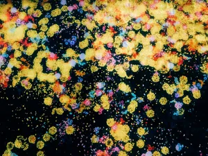 A bunch of yellow and pink flowers on a black surface jigsaw puzzle