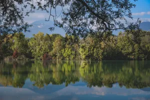 Amazing peaceful landscape of tranquil lake with smooth water surface reflecting lush green trees and blue cloudy sky with mountains in background jigsaw puzzle