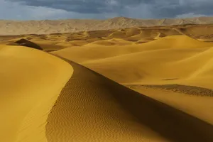 A breathtaking landscape of golden sand dunes stretching under a moody sky, capturing desert beauty. jigsaw puzzle
