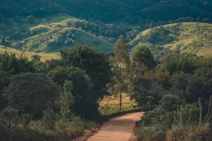 Explore the tranquil beauty of rolling green hills and a winding dirt road in this vibrant landscape photo. jigsaw puzzle